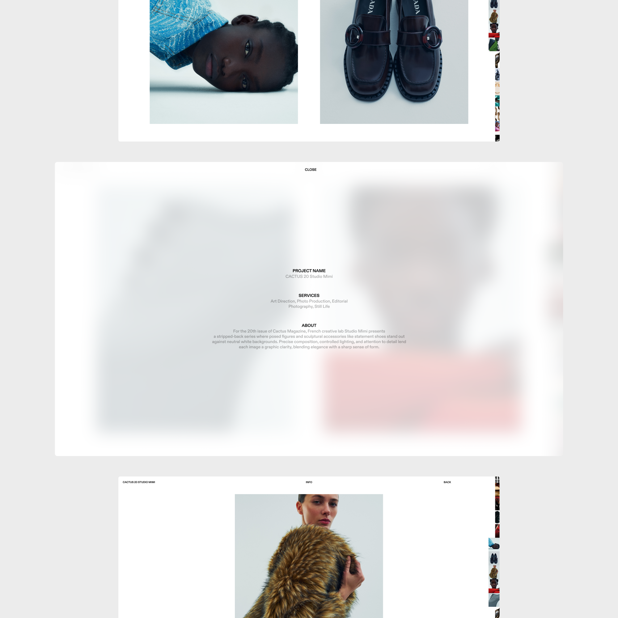 11-cactus-project-page